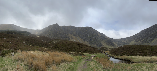 corrie fee header