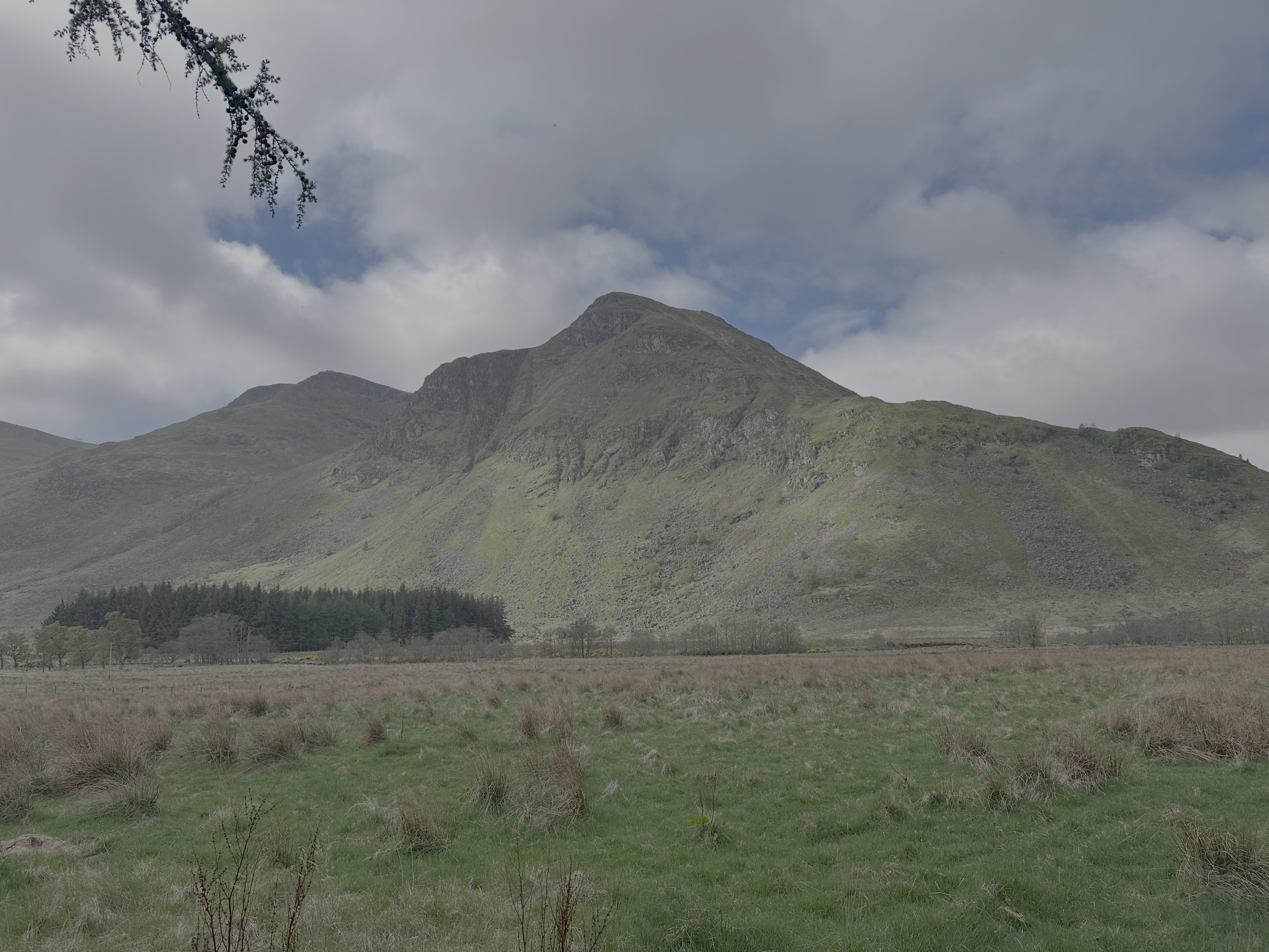 Wonderous Driesh