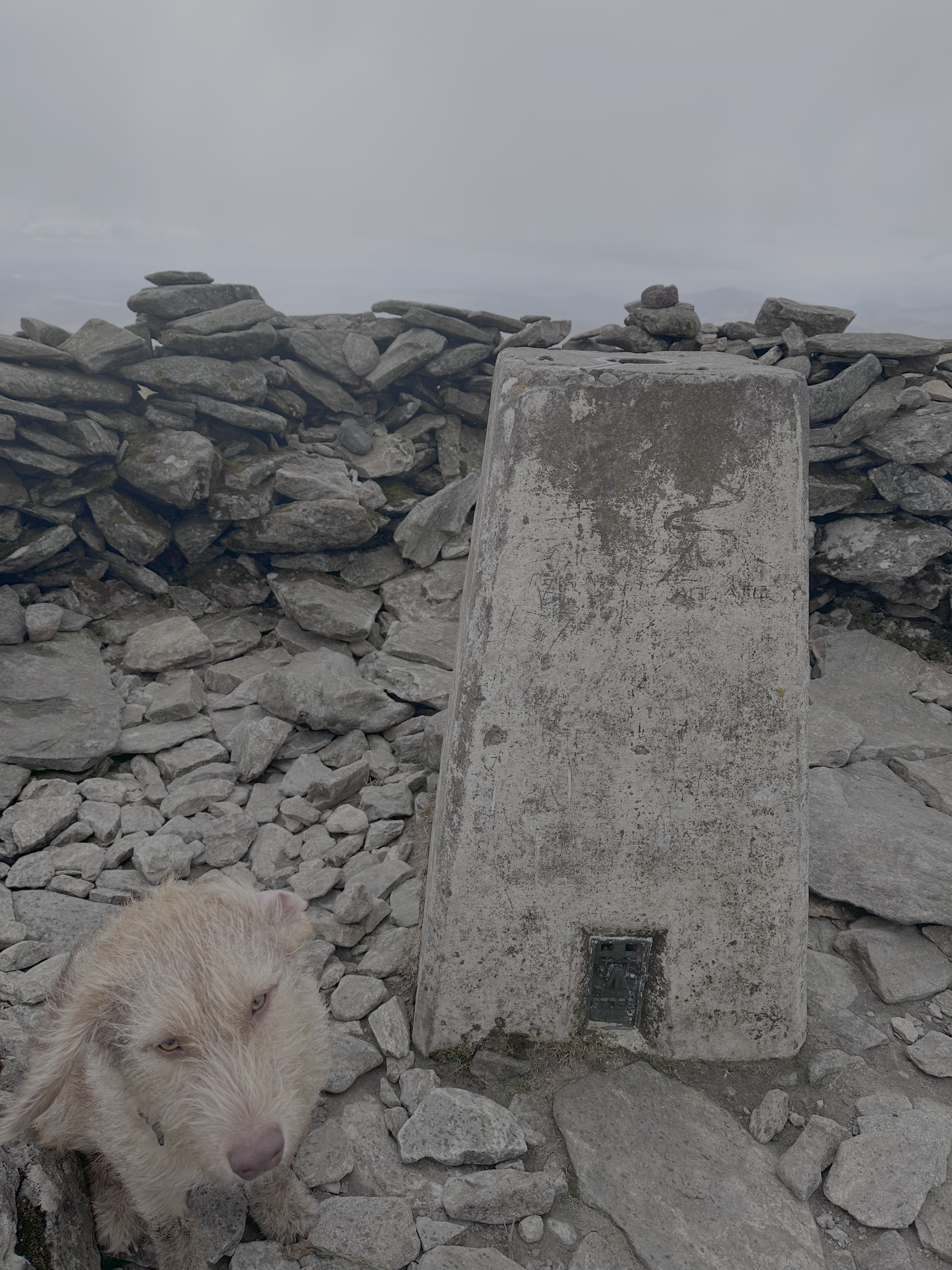 Ted on the Driesh Cairn