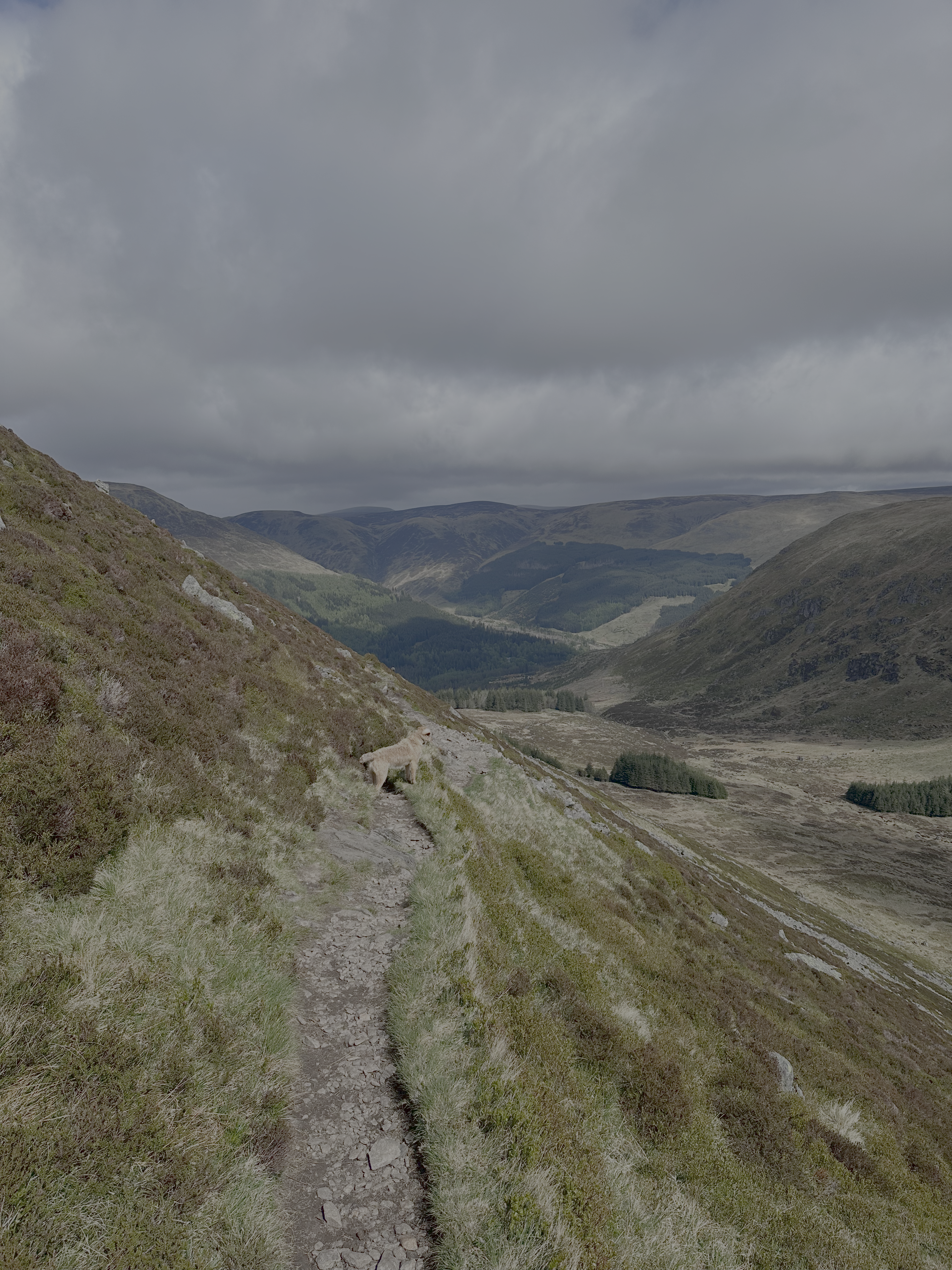Heading down